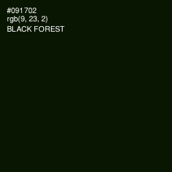 #091702 - Black Forest Color Image